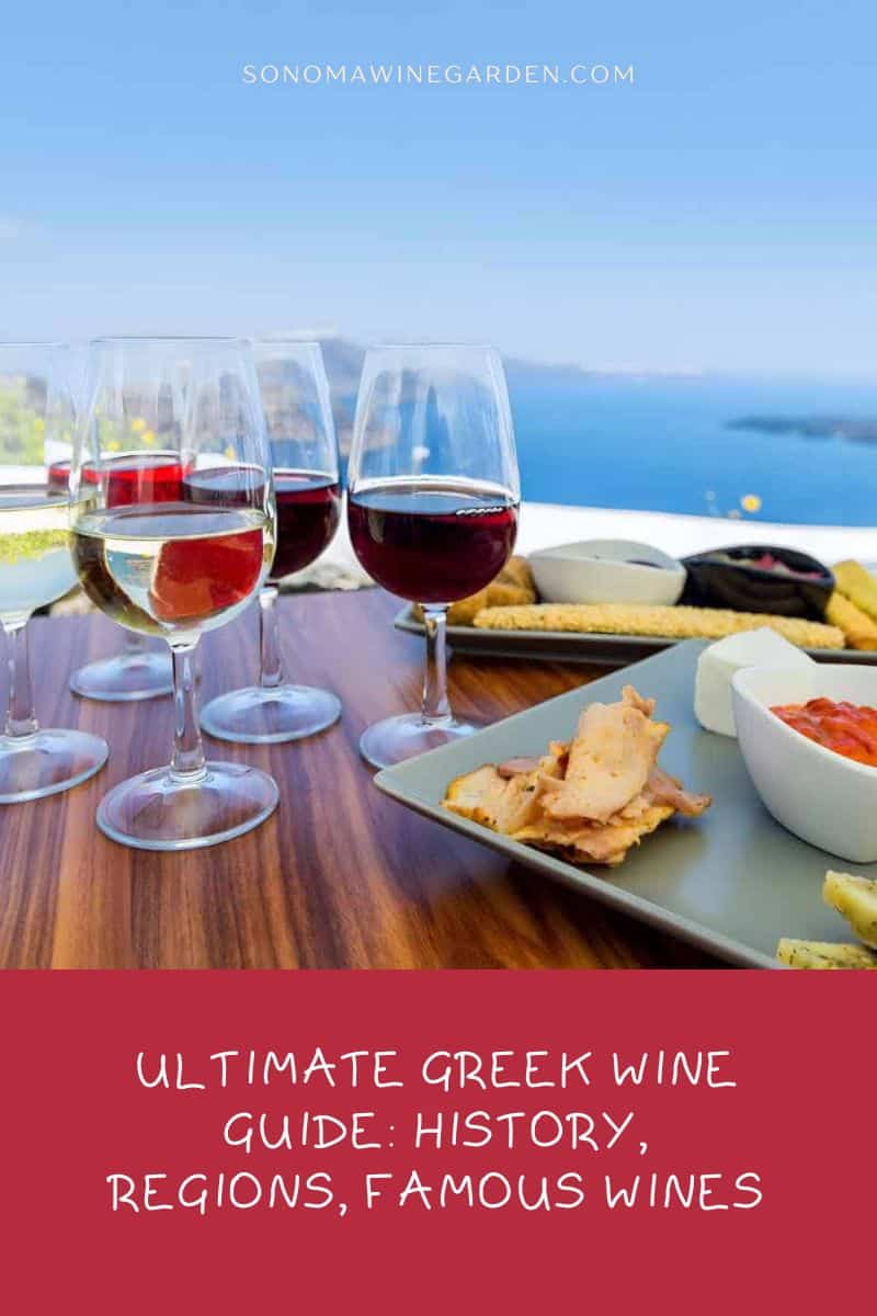 Ultimate Greek Wine Guide History, Regions, Famous Wines