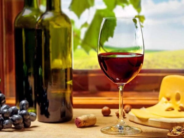 11 Popular Italian Red Wines to Try Out