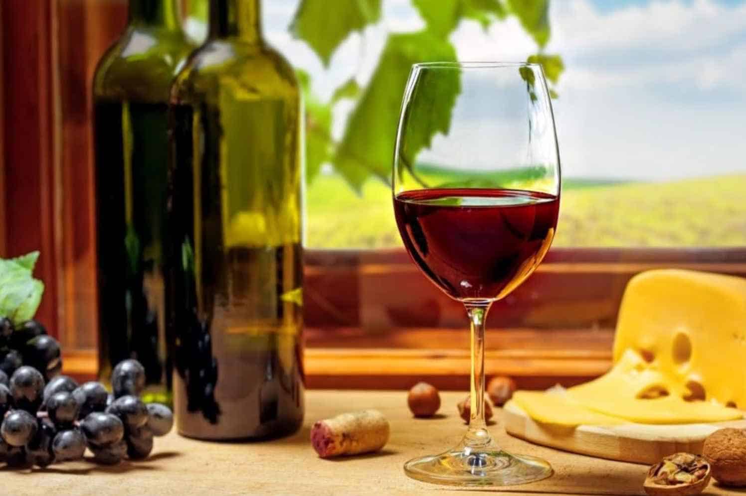 11 Popular Italian Red Wines to Try Out