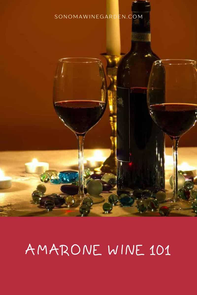 Amarone Wine 101 Flavor profile, Origin, Price & Best Brands