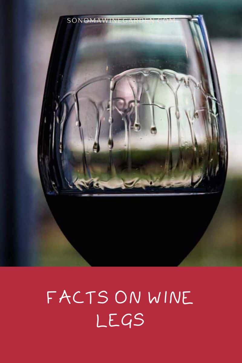 Facts on Wine Legs Myth, Meaning, & Importance