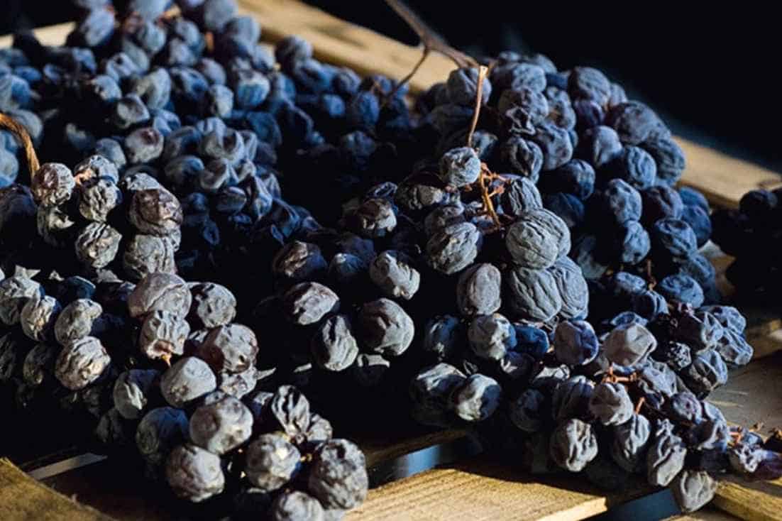 How Amarone Wine is Made