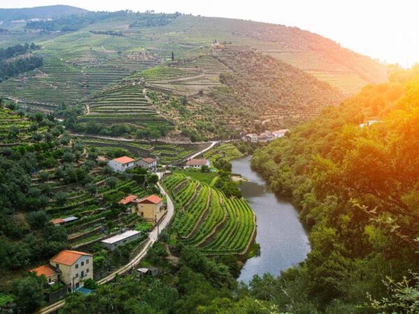 Portugal Wine Guide: Regions, Premium Wines & Quality Level