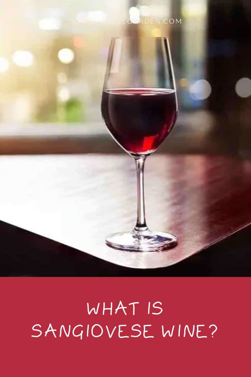 What is Sangiovese Wine