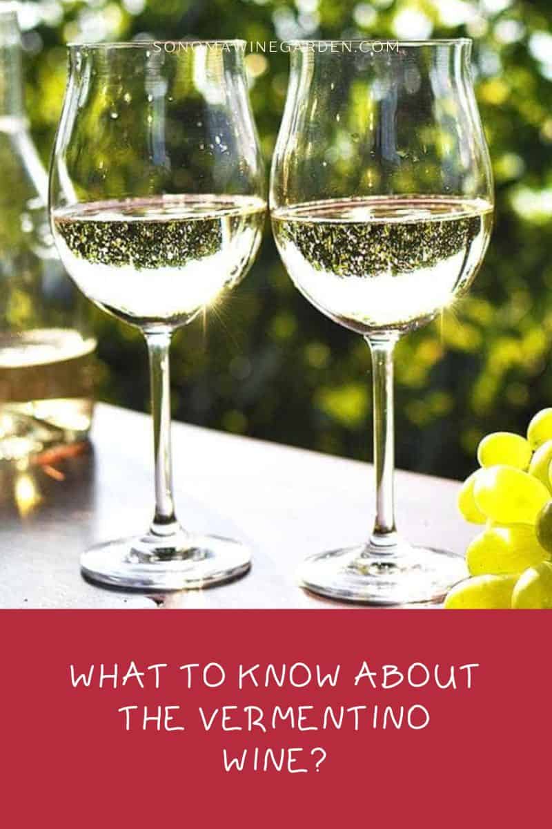 What to Know About the Vermentino Wine
