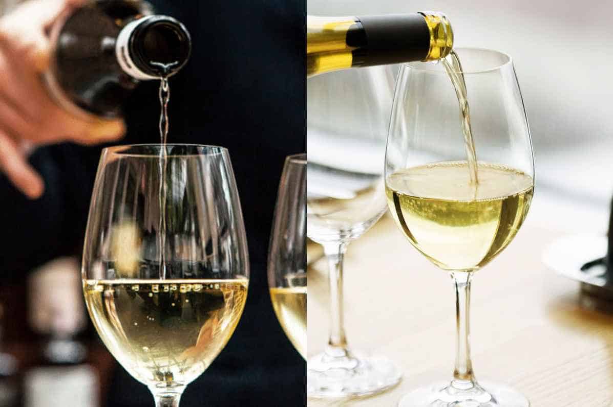 Chenin Blanc and Sauvignon Blanc The Difference