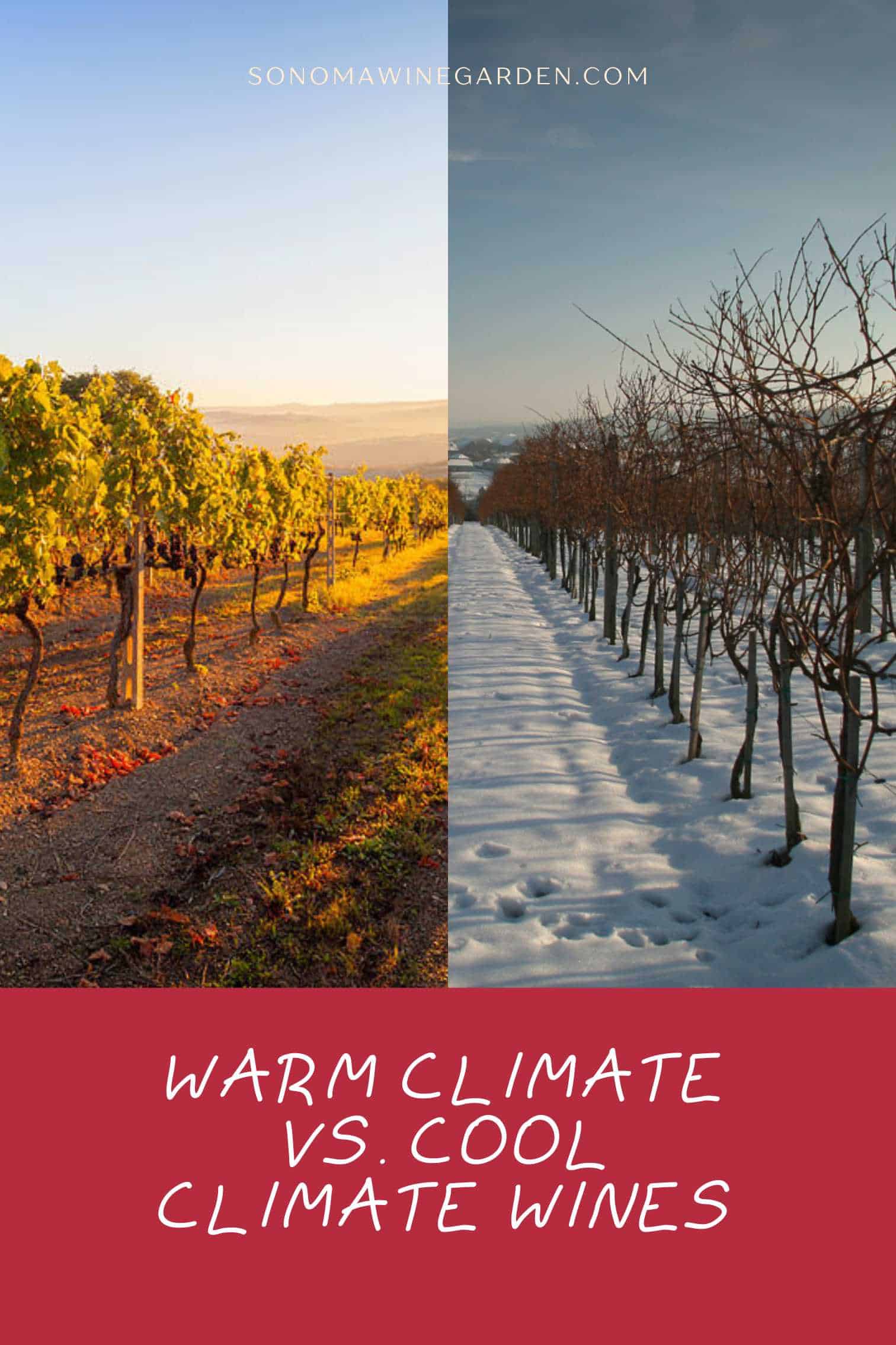 Warm Climate vs. Cool Climate Wines
