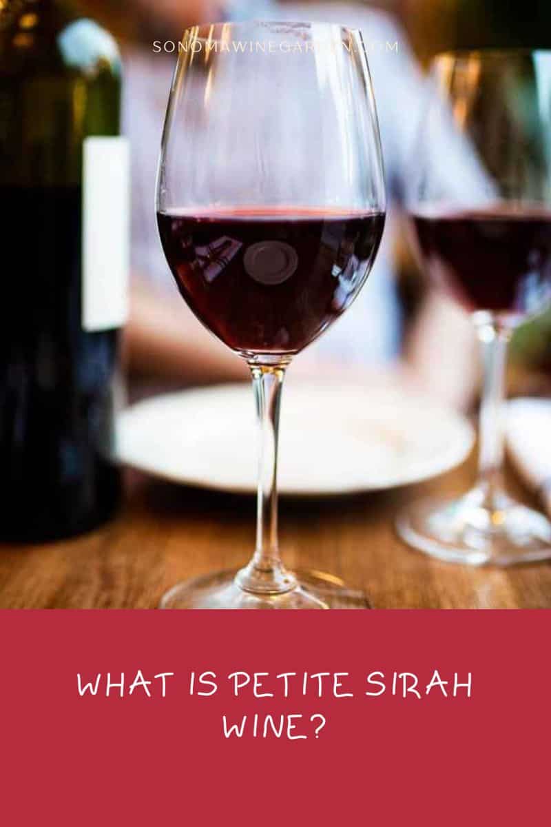 What is Petite Sirah Wine