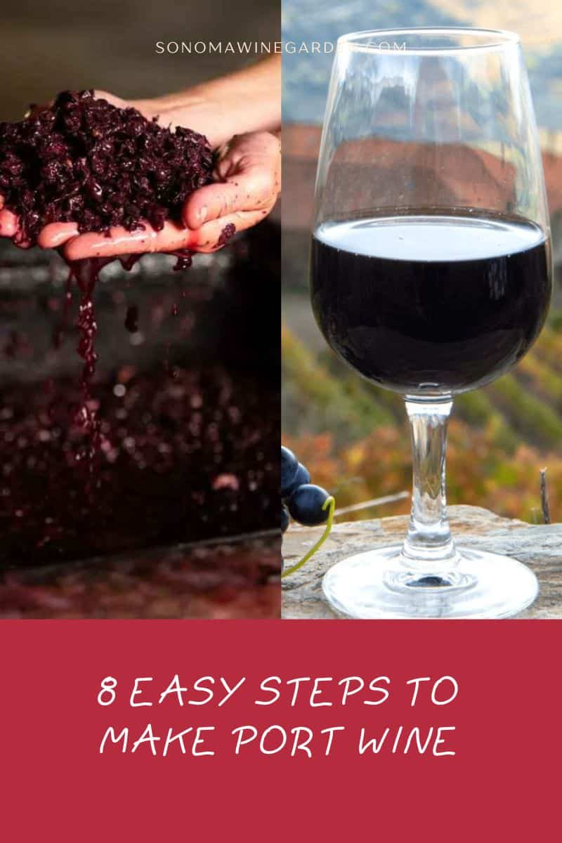 8 Easy Steps to Make Port Wine
