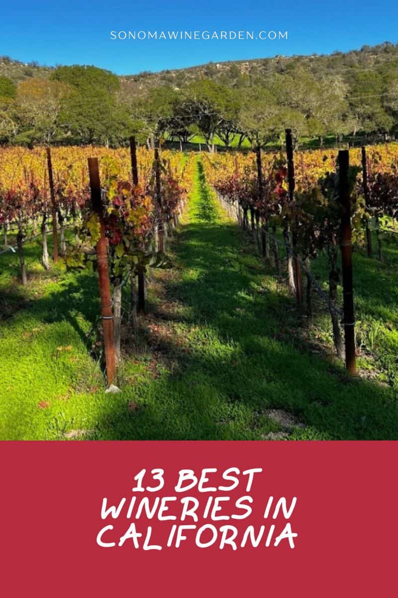 Best Wineries in California