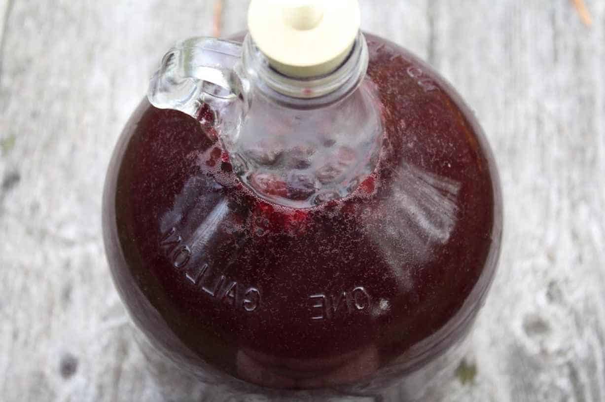 Can You Make Your Own Port Wine at Home
