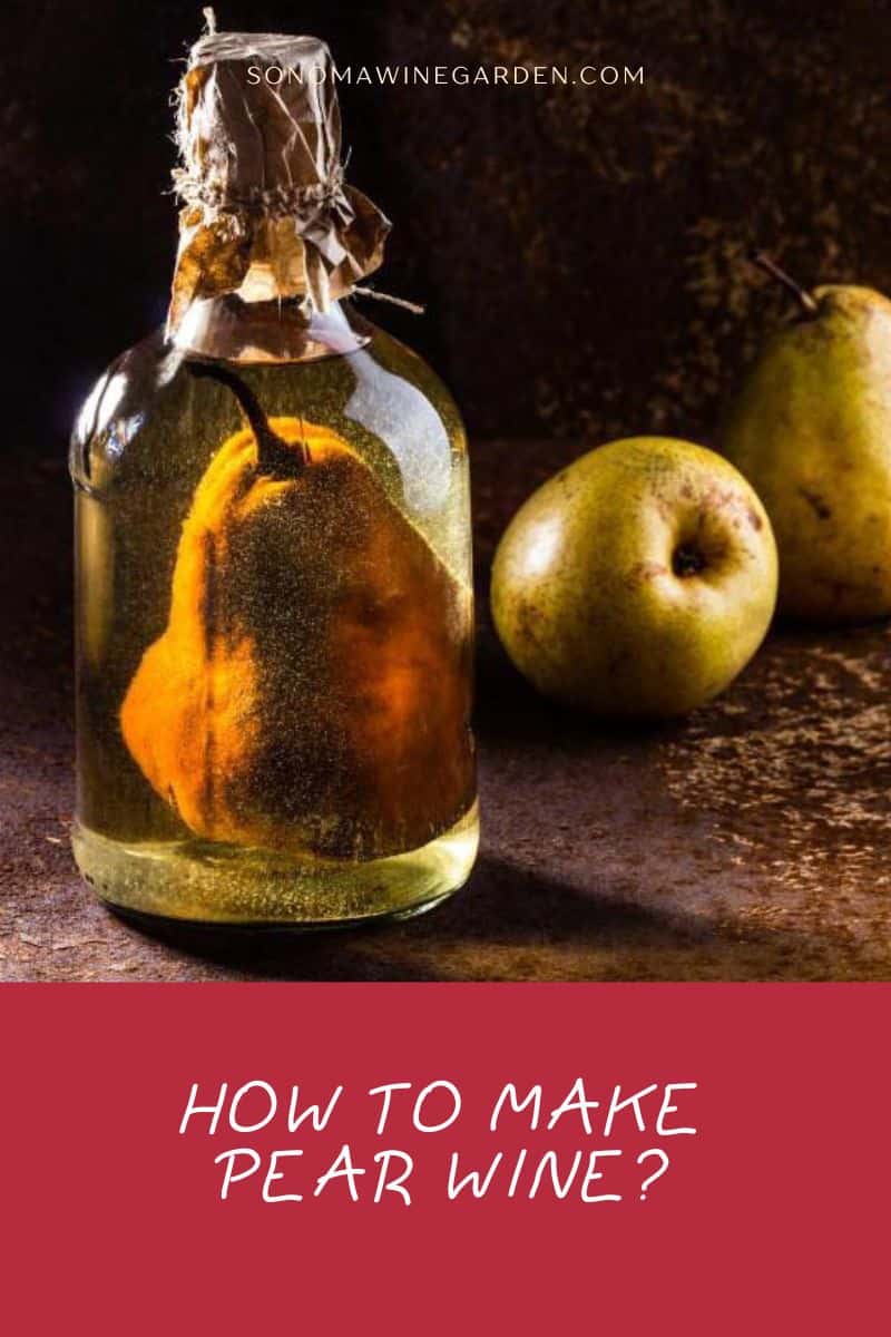 How To Make Pear Wine (A Step-by-Step Guide)