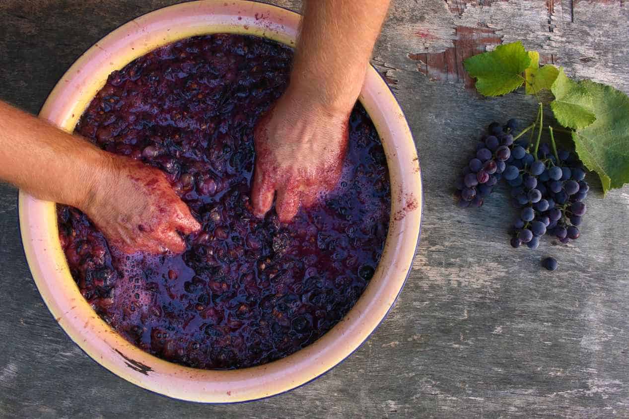 How to Make Port Wine at Home