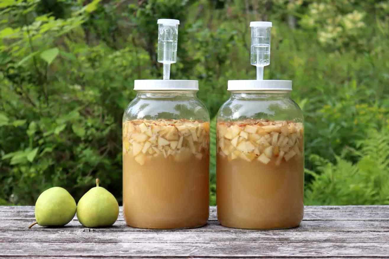 Make Pear Wine Frequently Asked Questions