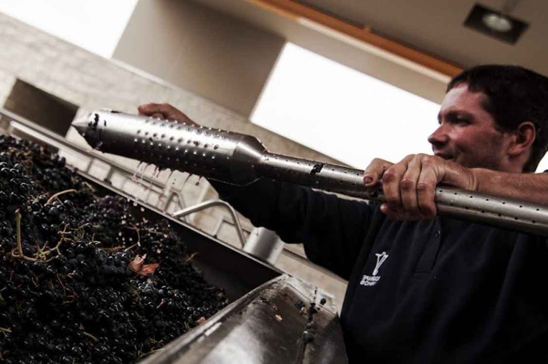 The Process of Making Port Wine