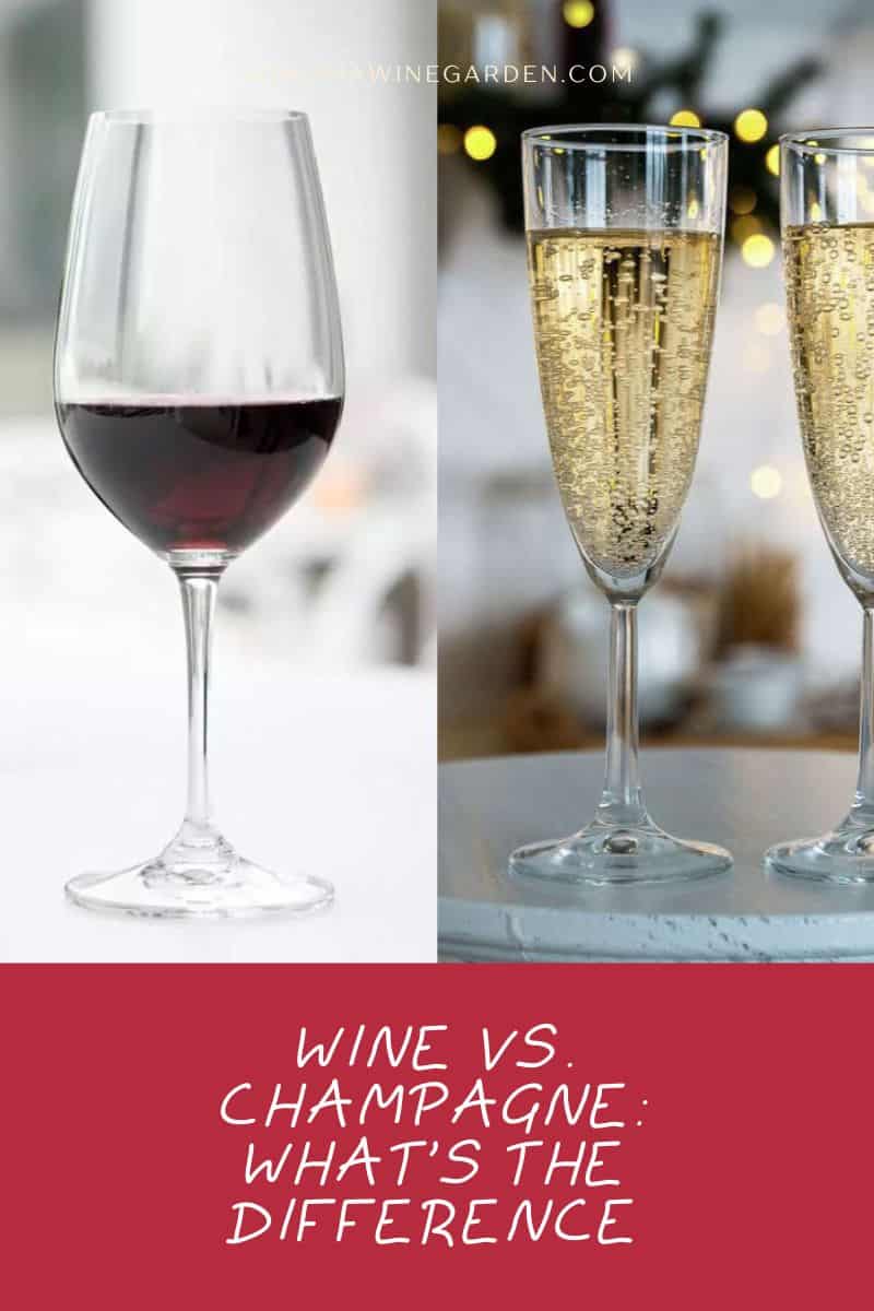 Wine vs. Champagne What's the Difference