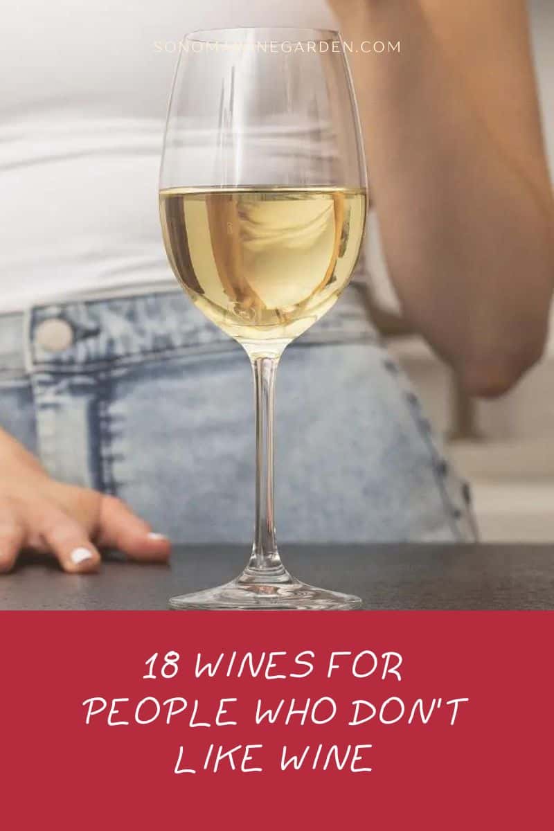 18 Wines for People Who Don't Like Wine