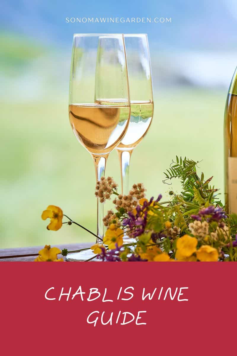 Chablis Wine Guide From Production to Palate