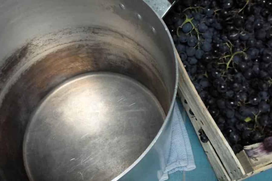 Choosing and Cleaning Your Wine Grapes