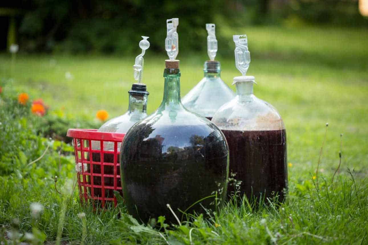 How Long Does It Take to Make Homemade Wine