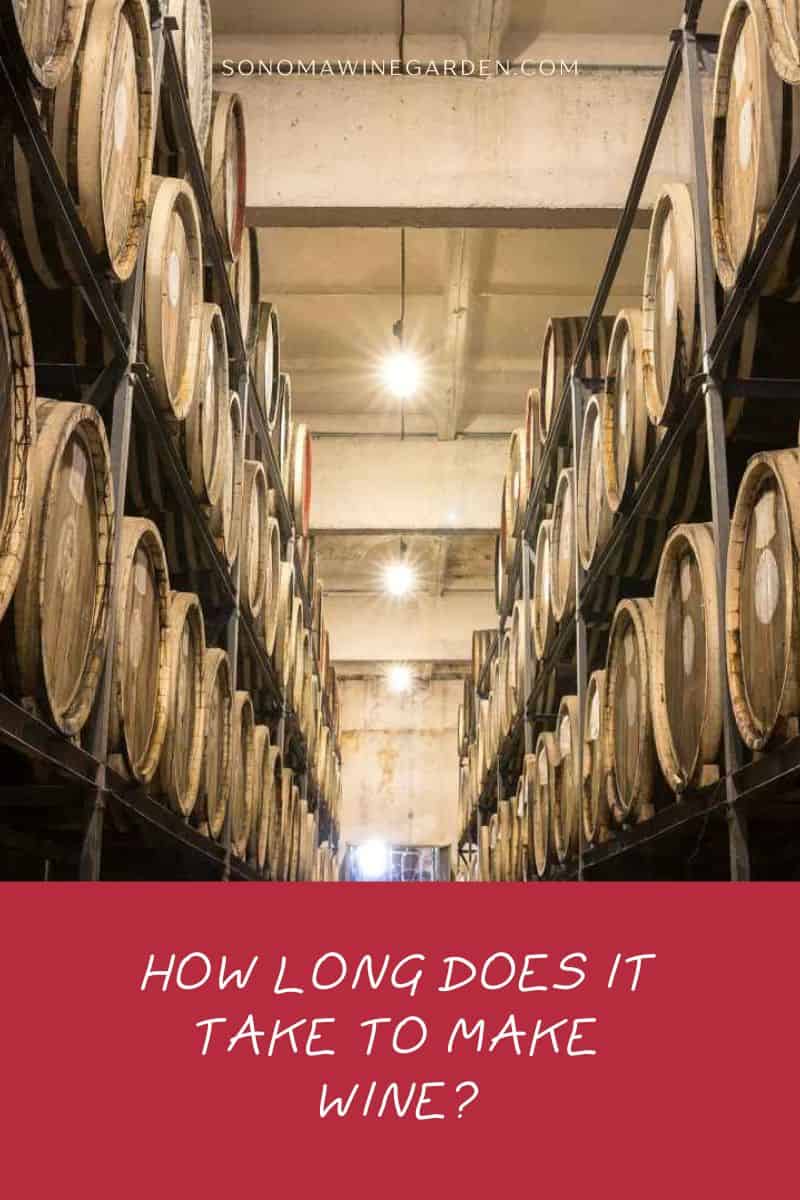 How Long Does it Take to Make Wine