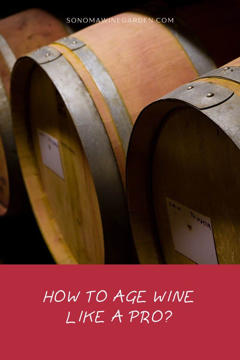 How to Age Wine Like a Pro