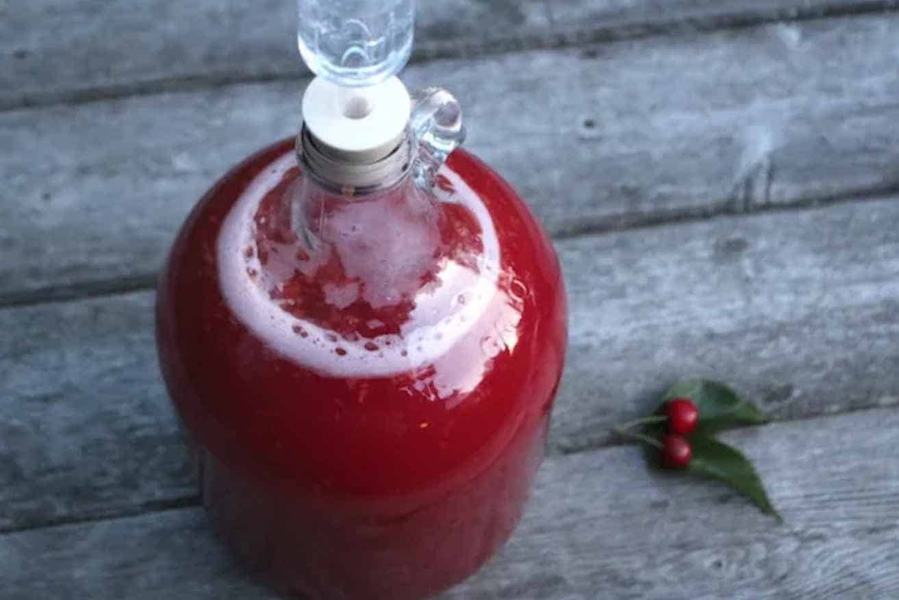 Cherry Wine by Practical Self Reliance