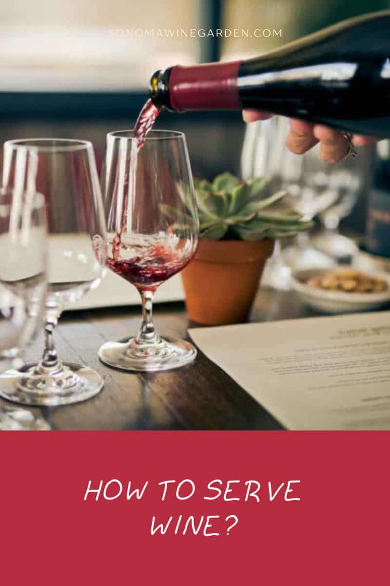 How to Serve Wine (Beginner's Guide)