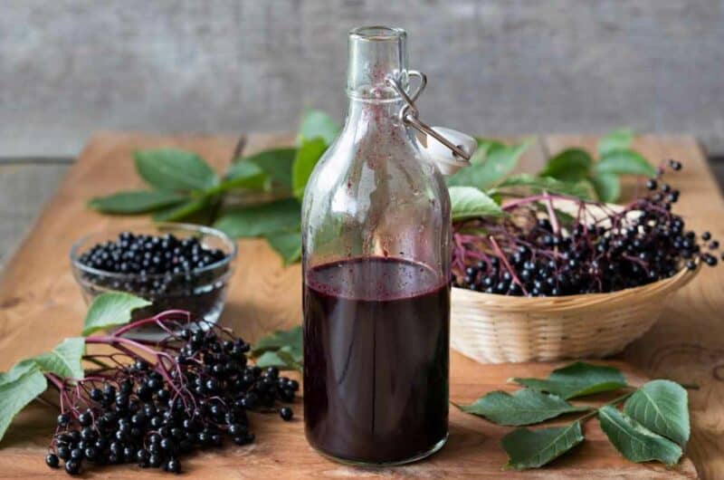12 Steps to Make Elderberry Wine (Step-by-Step Guides)