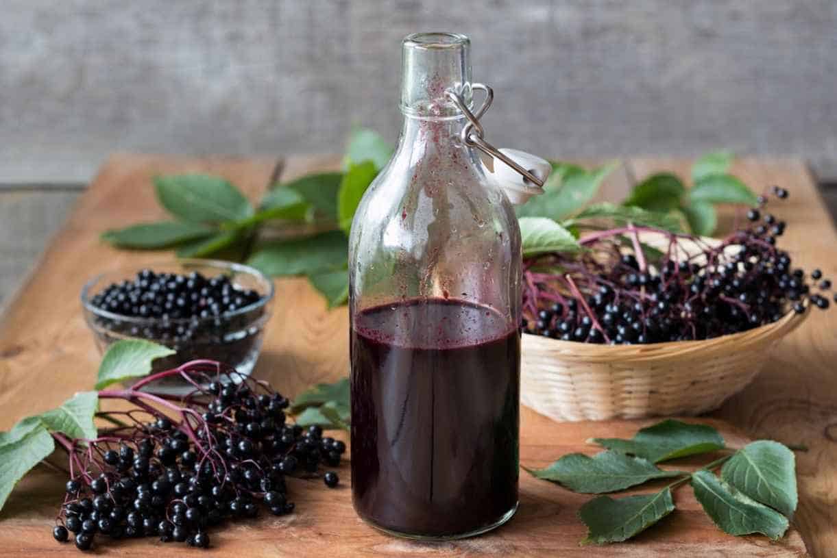 how-to-make-elderberry-wine