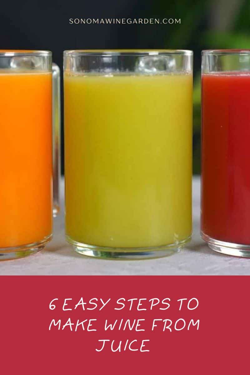 6 Easy Steps to Make Wine from Juice