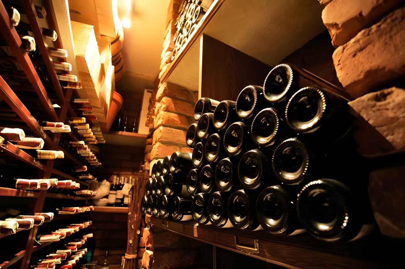 how-to-organize-wine-cellar