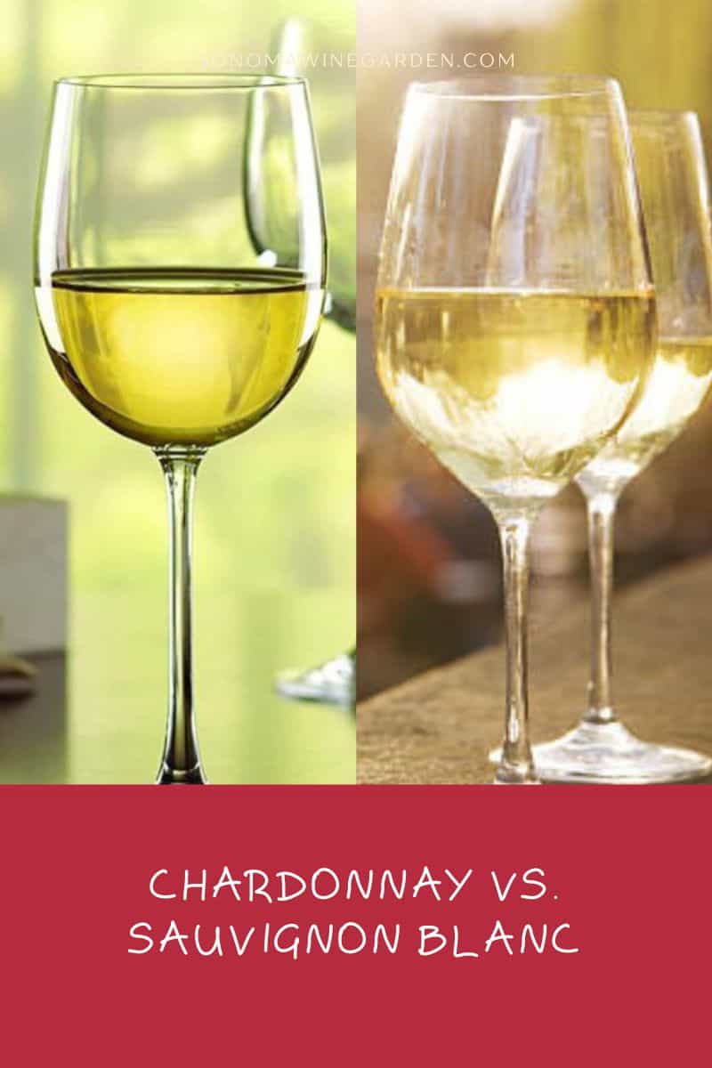 Chardonnay vs. Sauvignon Blanc What's the Difference