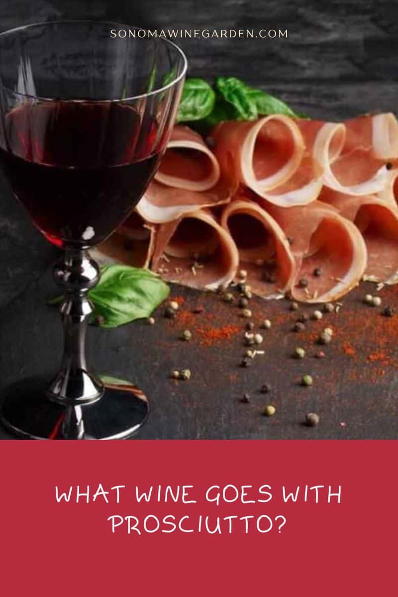 What Wine Goes with Prosciutto (White, Red, Sparkling, Rosé Wines )