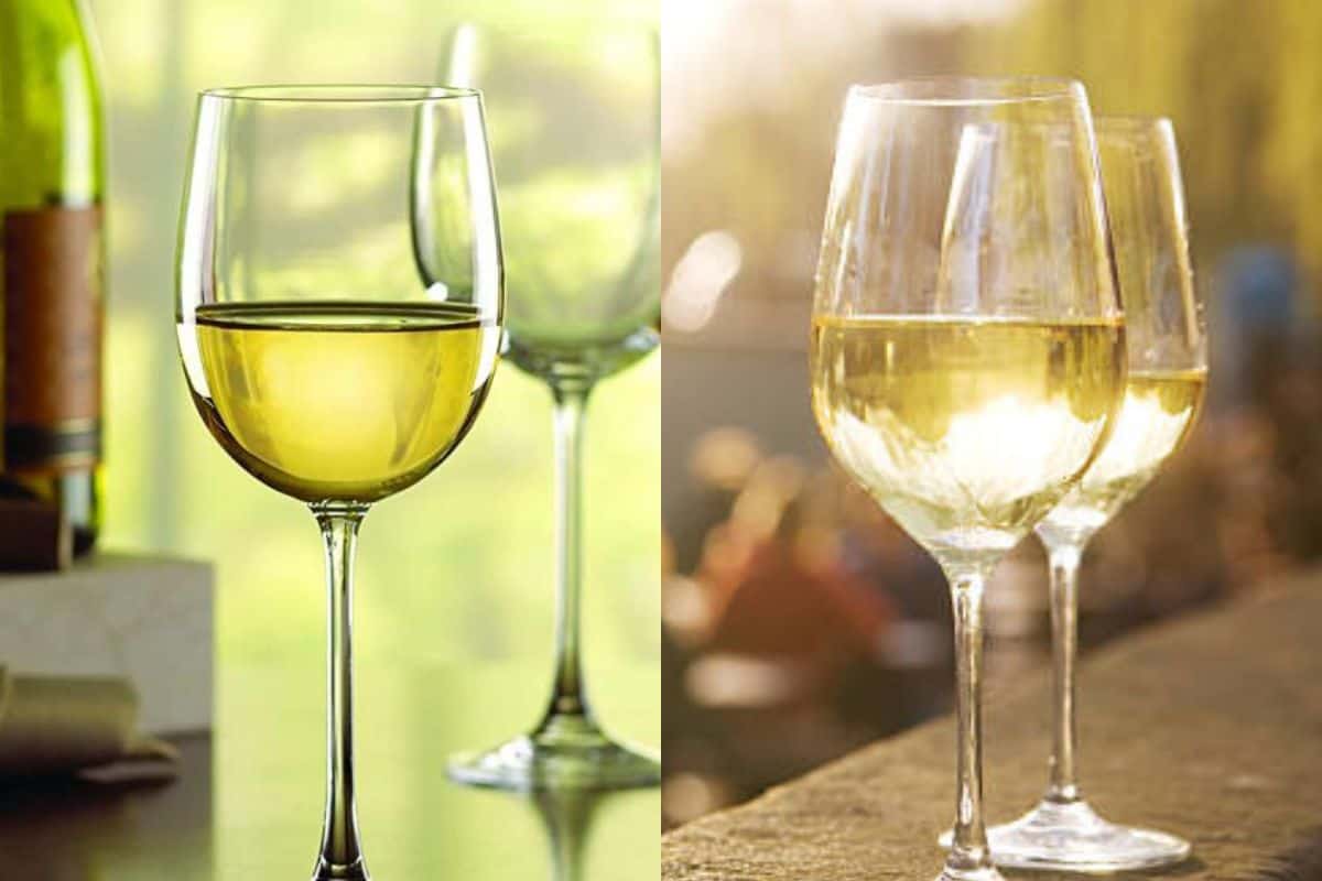 chardonnay-vs-sauvignon-blanc