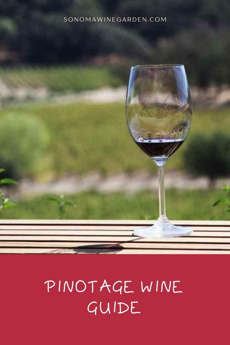 Pinotage Wine Guide History, Taste, Made and More
