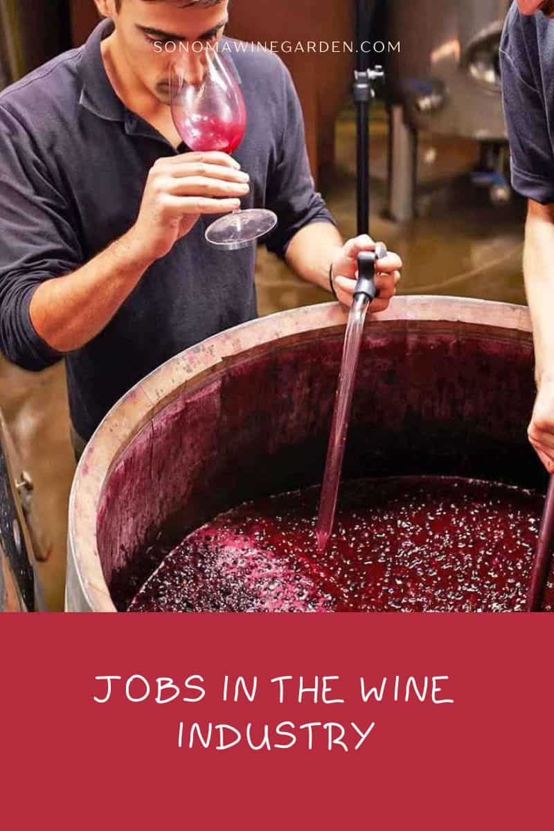 The Ultimate Guide to The Perfect Jobs in the Wine Industry