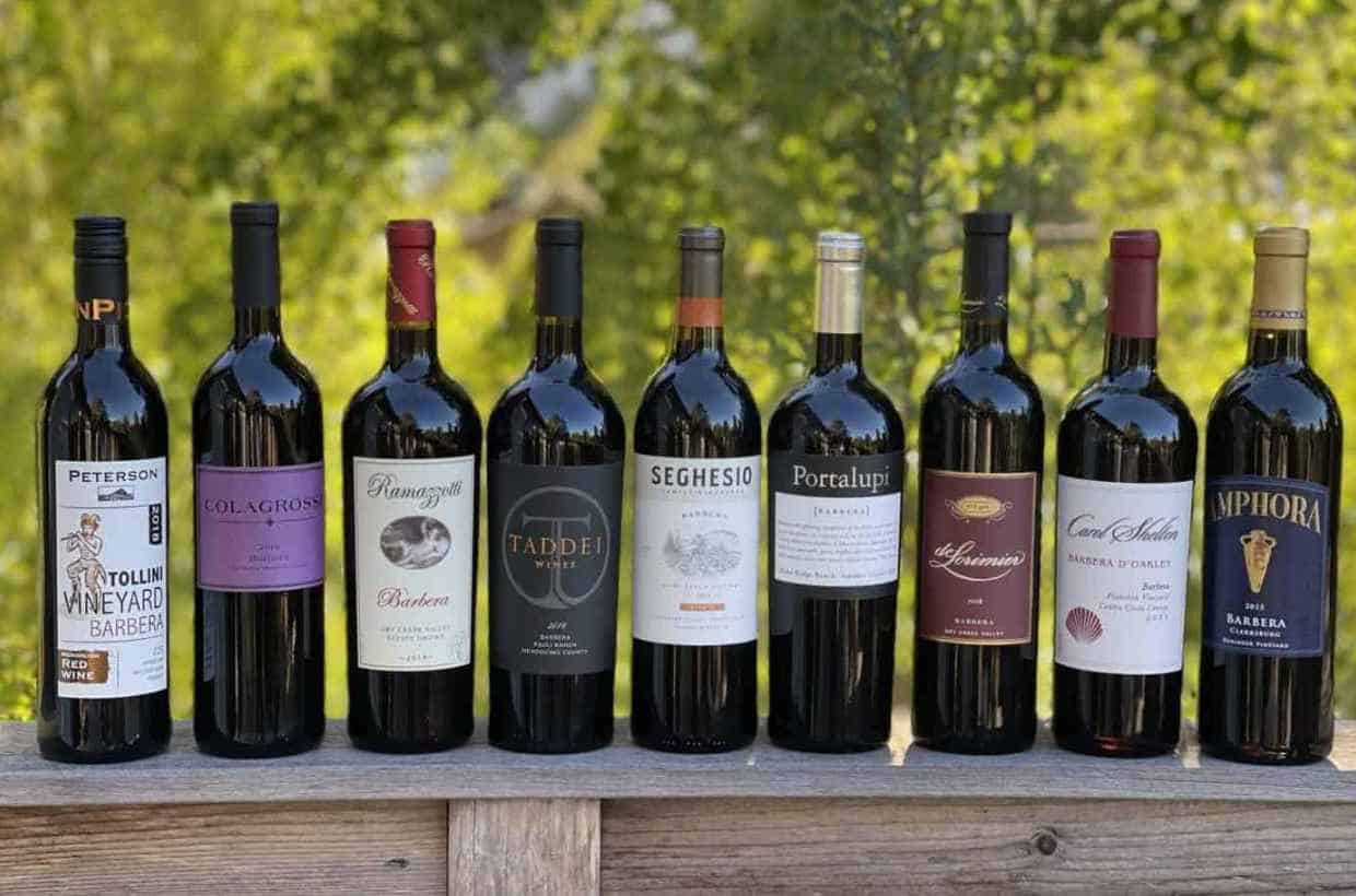 barbera wine