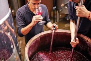 The Ultimate Guide to The Perfect Jobs in the Wine Industry