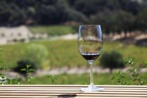 Pinotage Wine Guide: History, Taste, Made and More