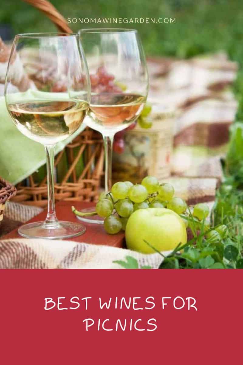 11 Best Wines for Picnics Red, White, Rosé and Sparkling Wines
