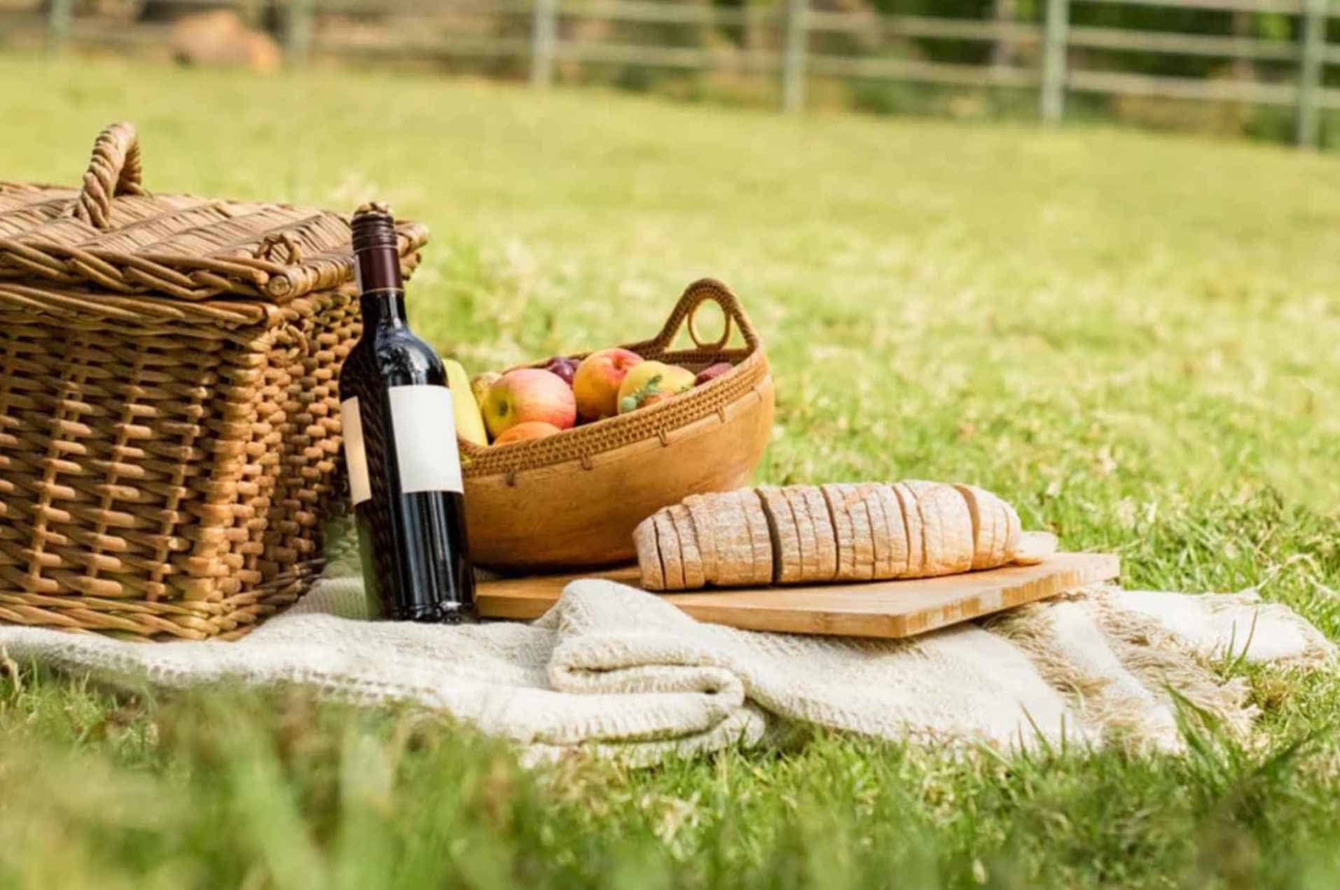 How to Know the Best Wine for Your Picnic