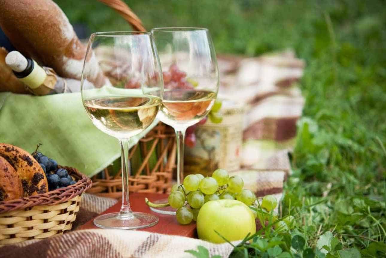 best-wines-for-picnics
