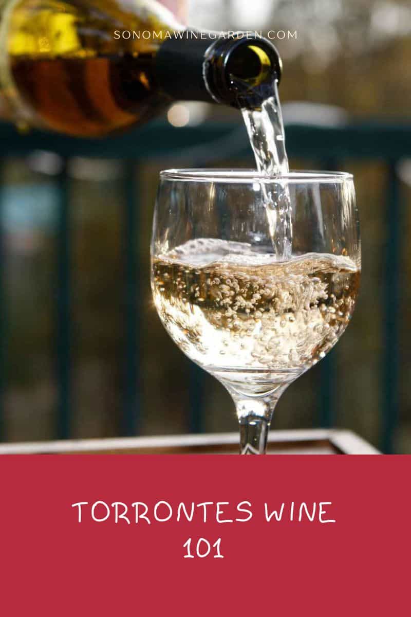 Torrontes Wine 101 Varieties, Regions, Pairing, & And More